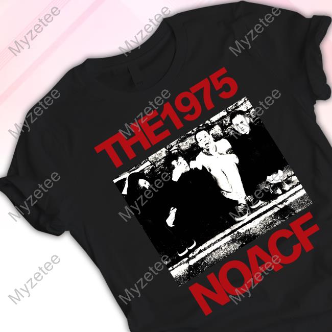 Thetedellis Merch The 1975 Noacf Photo Hoodie Thetedellis Merch The 1975 Noacf Photo Hoodie
