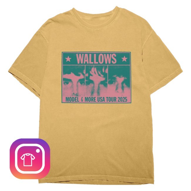 Wallows Merch Colorblock Faces T-Shirt  Hoodie  Tank Top  Sweater And Long Sleeve T-Shirt - Myzetee Shop